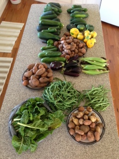 Vegetables from Jacaranda Haven Feb 2013