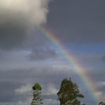 Rainbow at Jacaranda Haven