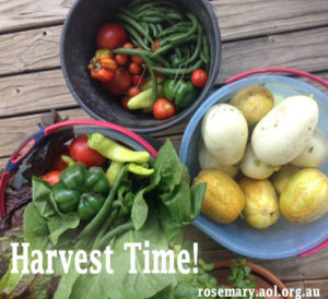 Harvest Time