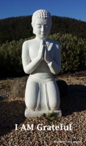 Buddha at JH by Terri -I Am Grateful