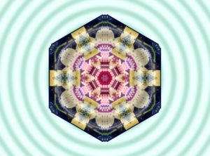 mandala-Sylvia Anshara